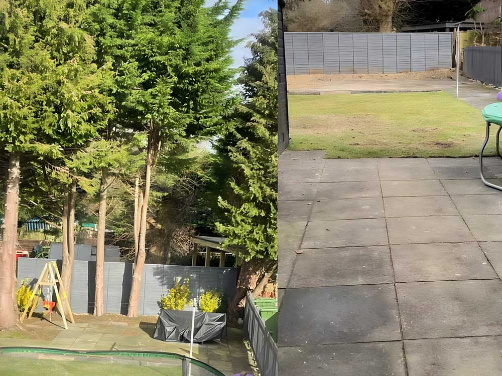 Site Clearance Services in Glasgow | Tree & Vegetation Removal by Arborists